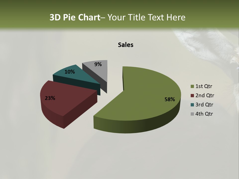 Wild Ringed Close PowerPoint Template