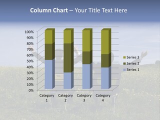 Outstretched Assistant Environment PowerPoint Template