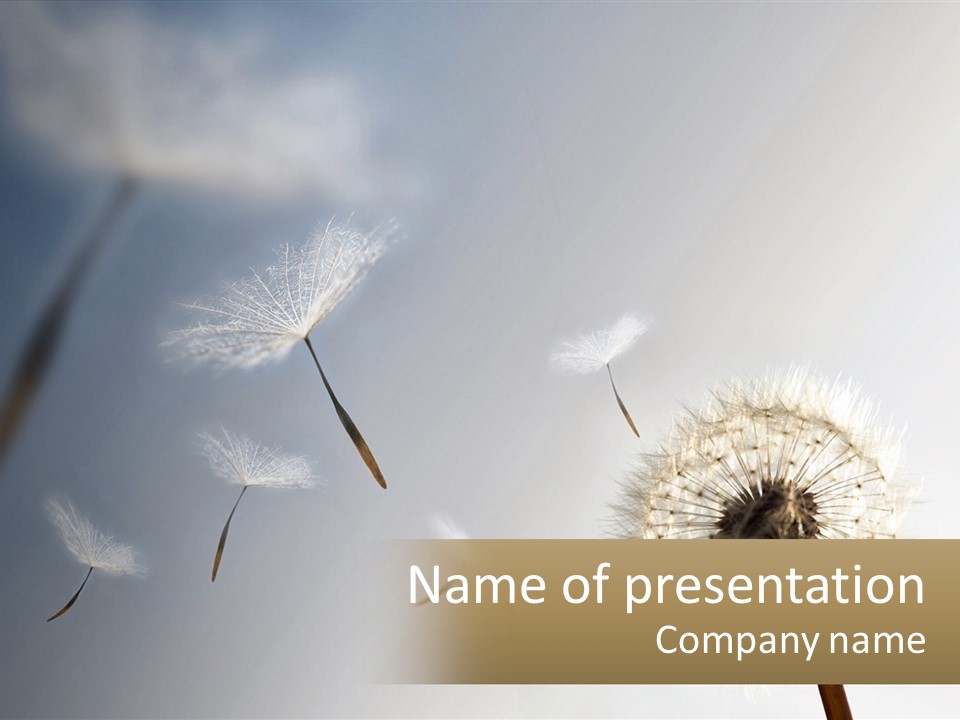 Happy Grass Frail PowerPoint Template