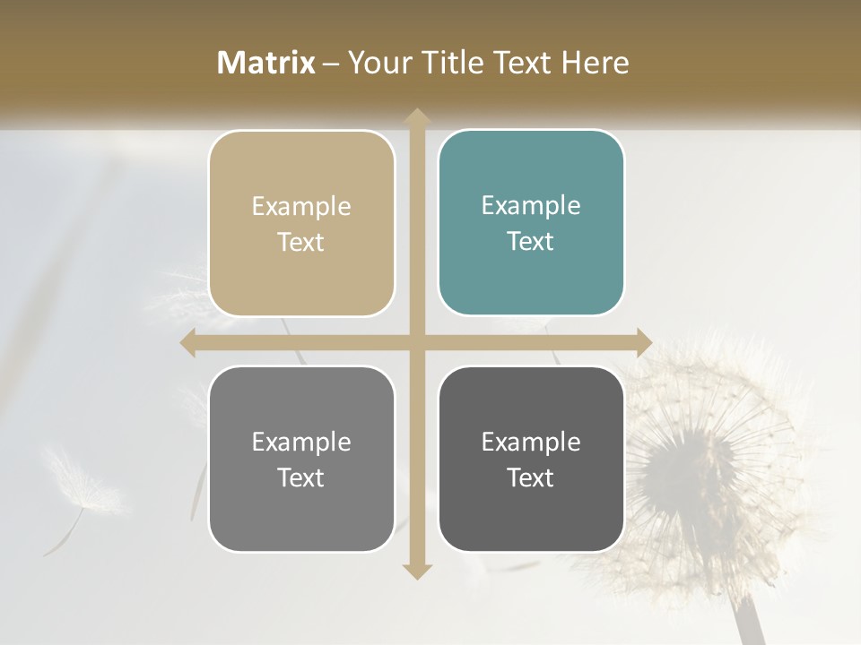 Happy Grass Frail PowerPoint Template