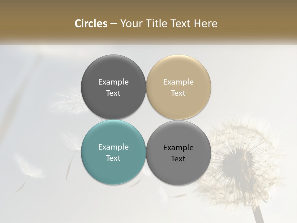 Happy Grass Frail PowerPoint Template