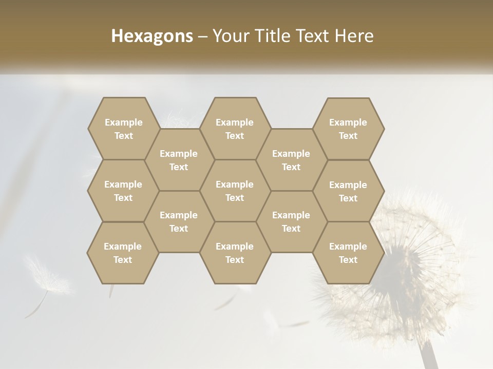 Happy Grass Frail PowerPoint Template