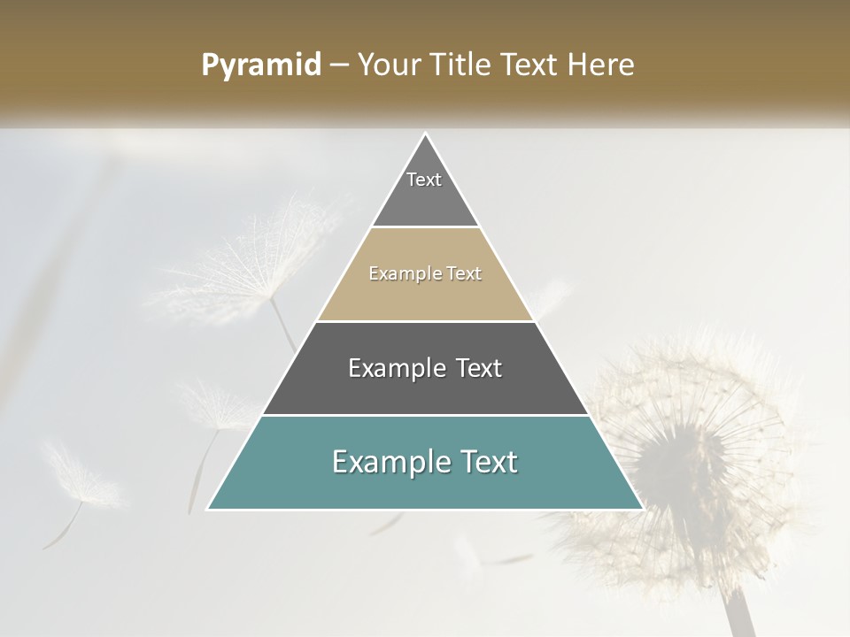 Happy Grass Frail PowerPoint Template