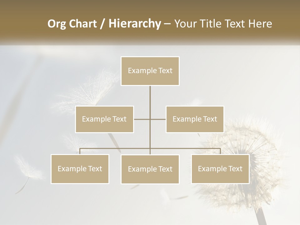 Happy Grass Frail PowerPoint Template