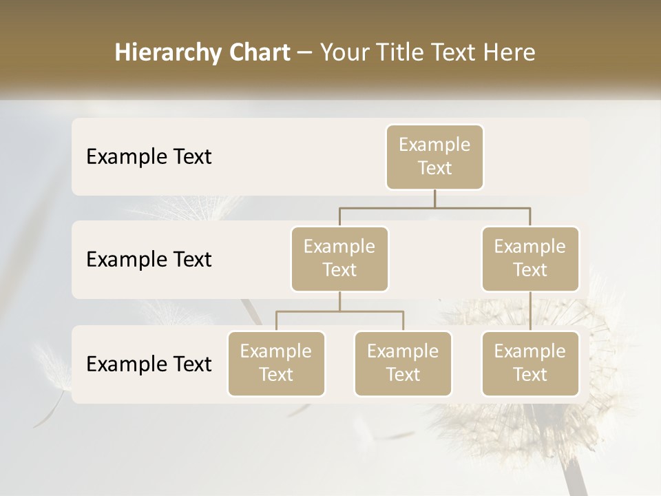 Happy Grass Frail PowerPoint Template