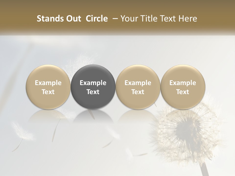 Happy Grass Frail PowerPoint Template