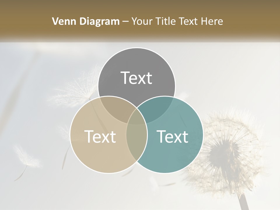 Happy Grass Frail PowerPoint Template