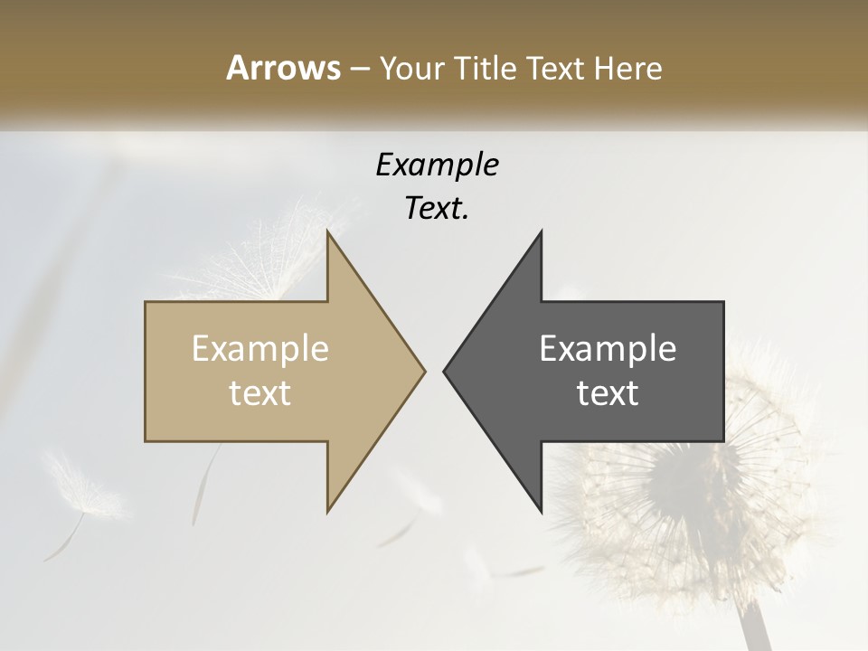 Happy Grass Frail PowerPoint Template