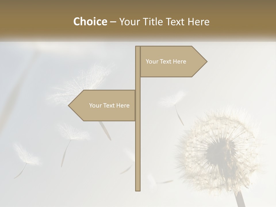 Happy Grass Frail PowerPoint Template