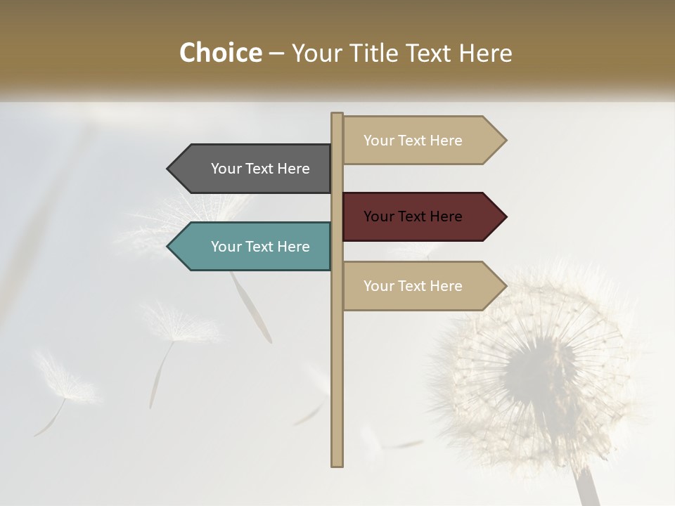 Happy Grass Frail PowerPoint Template