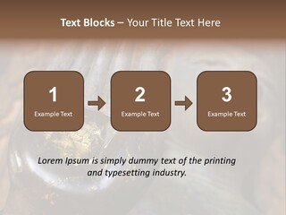 Sculpture Meditating God PowerPoint Template