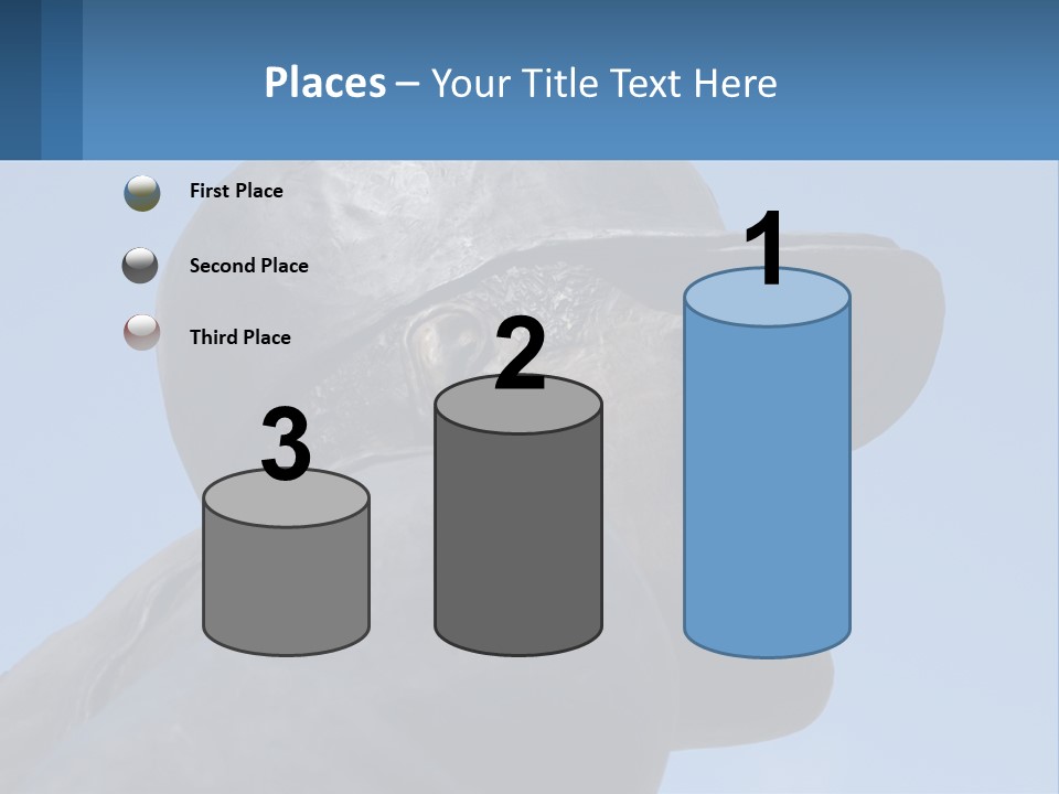 Pittsburgh Symbol Hof PowerPoint Template