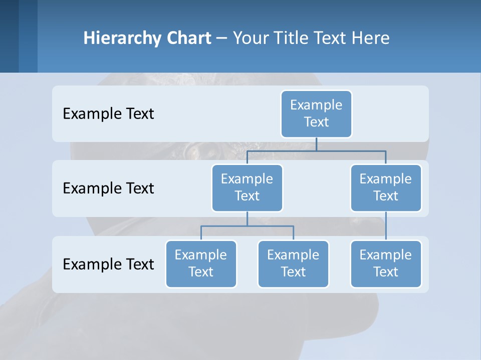 Pittsburgh Symbol Hof PowerPoint Template