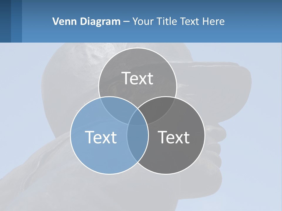 Pittsburgh Symbol Hof PowerPoint Template