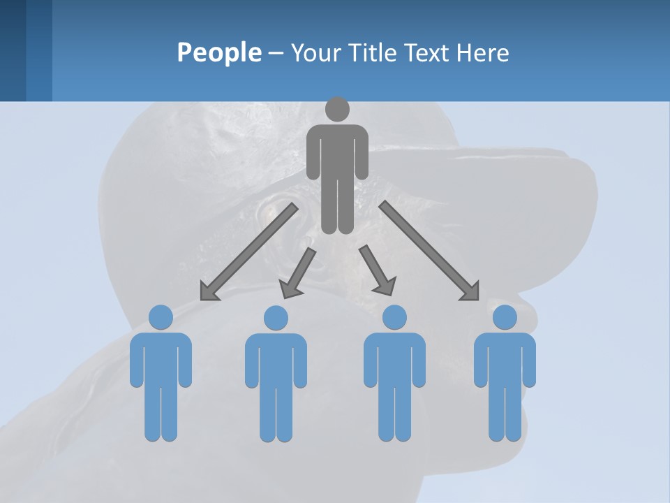 Pittsburgh Symbol Hof PowerPoint Template