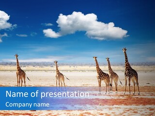 Park Clouds Herd PowerPoint Template