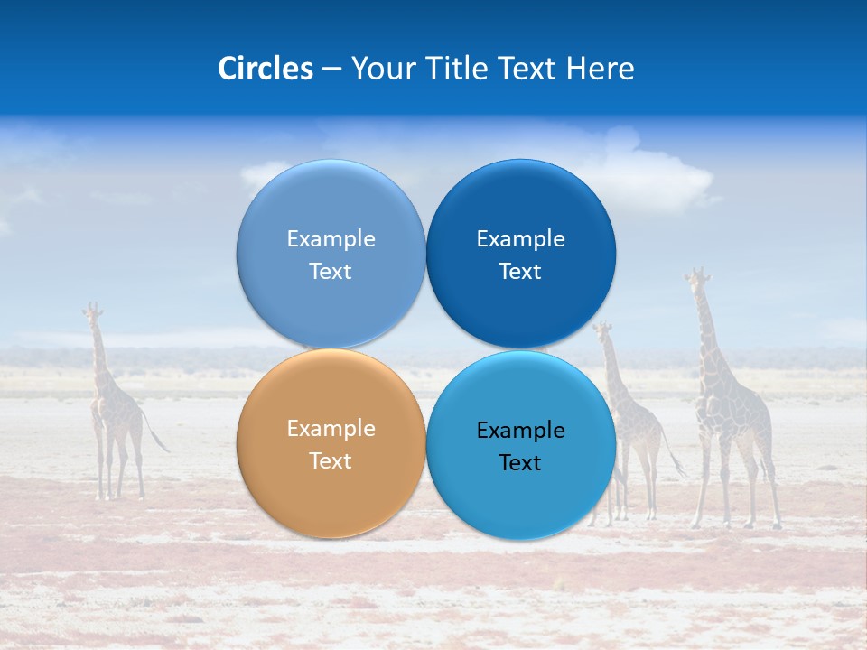 Park Clouds Herd PowerPoint Template