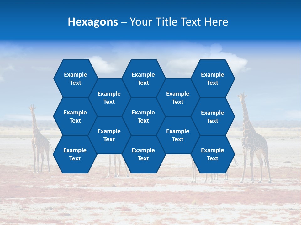 Park Clouds Herd PowerPoint Template