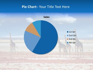 Park Clouds Herd PowerPoint Template