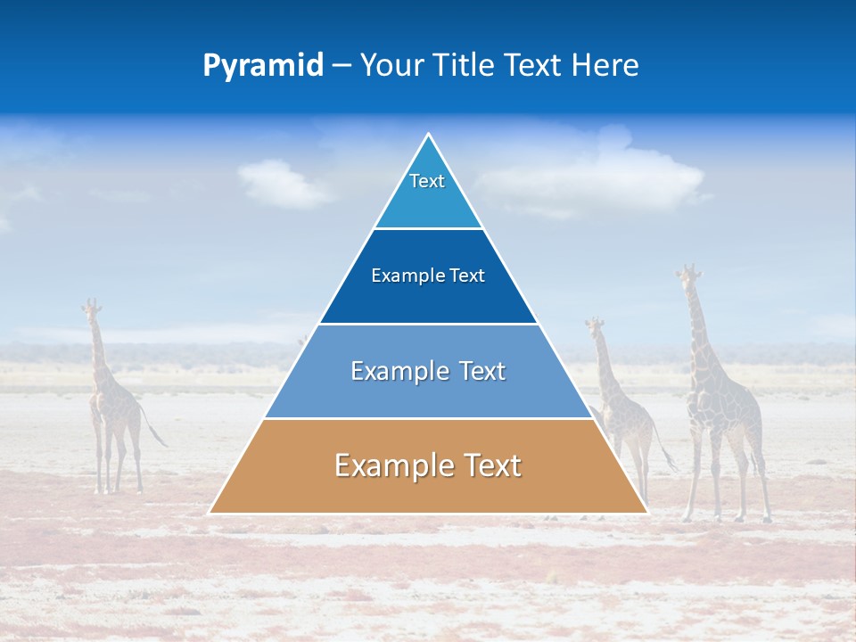 Park Clouds Herd PowerPoint Template