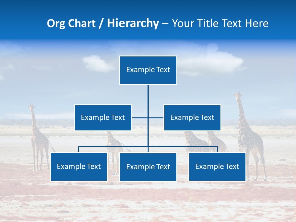 Park Clouds Herd PowerPoint Template