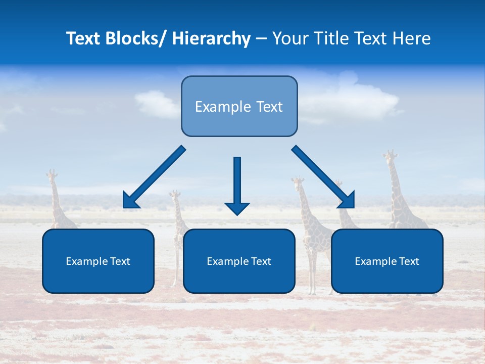 Park Clouds Herd PowerPoint Template