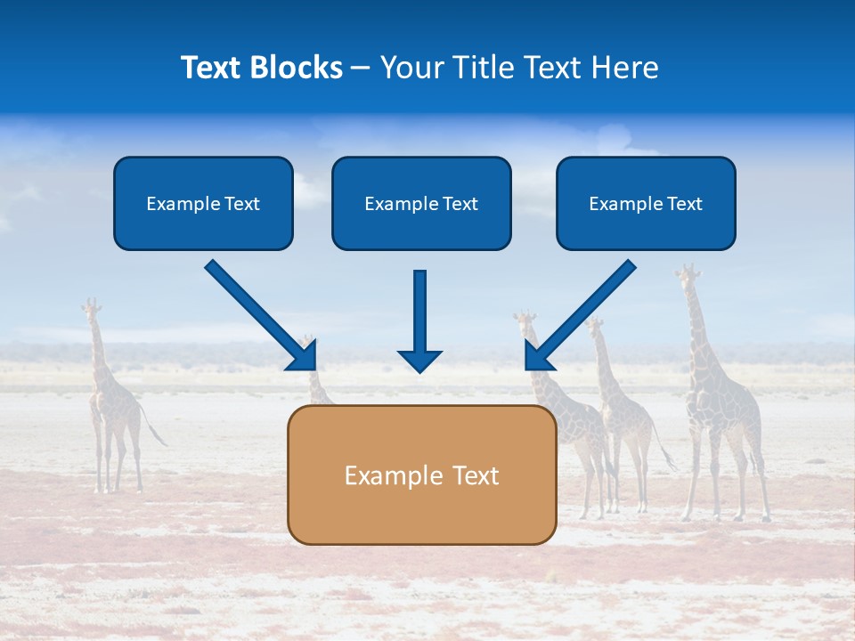 Park Clouds Herd PowerPoint Template