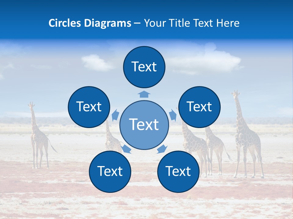 Park Clouds Herd PowerPoint Template