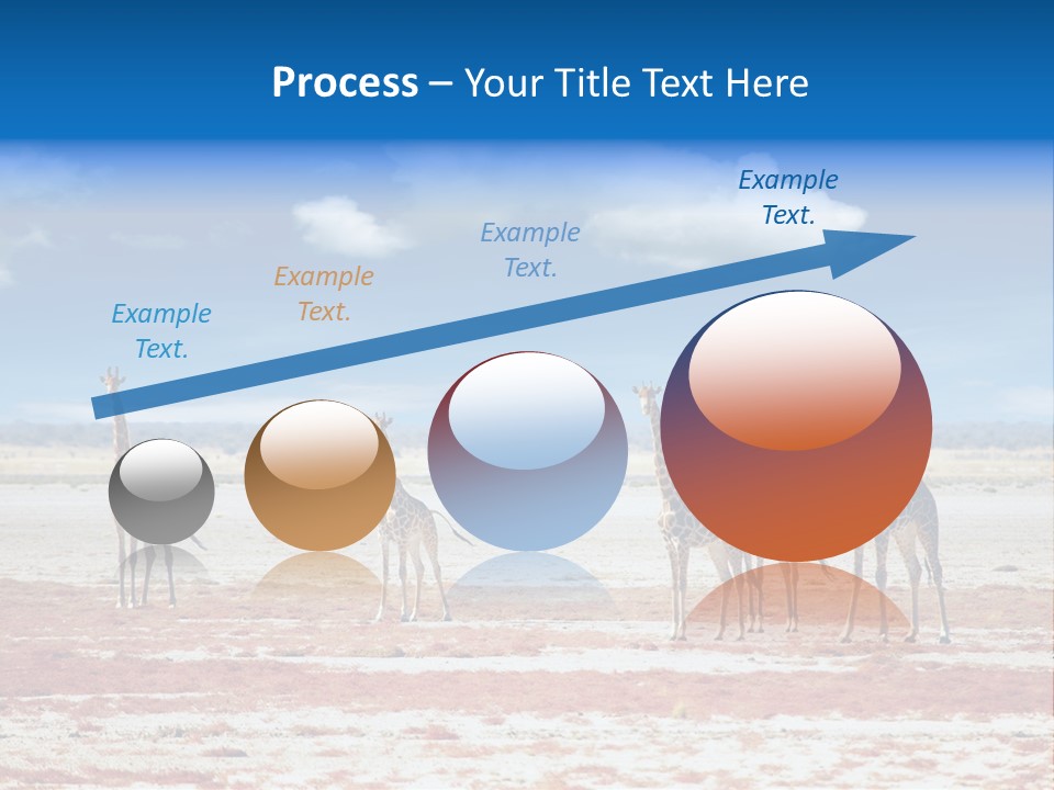 Park Clouds Herd PowerPoint Template