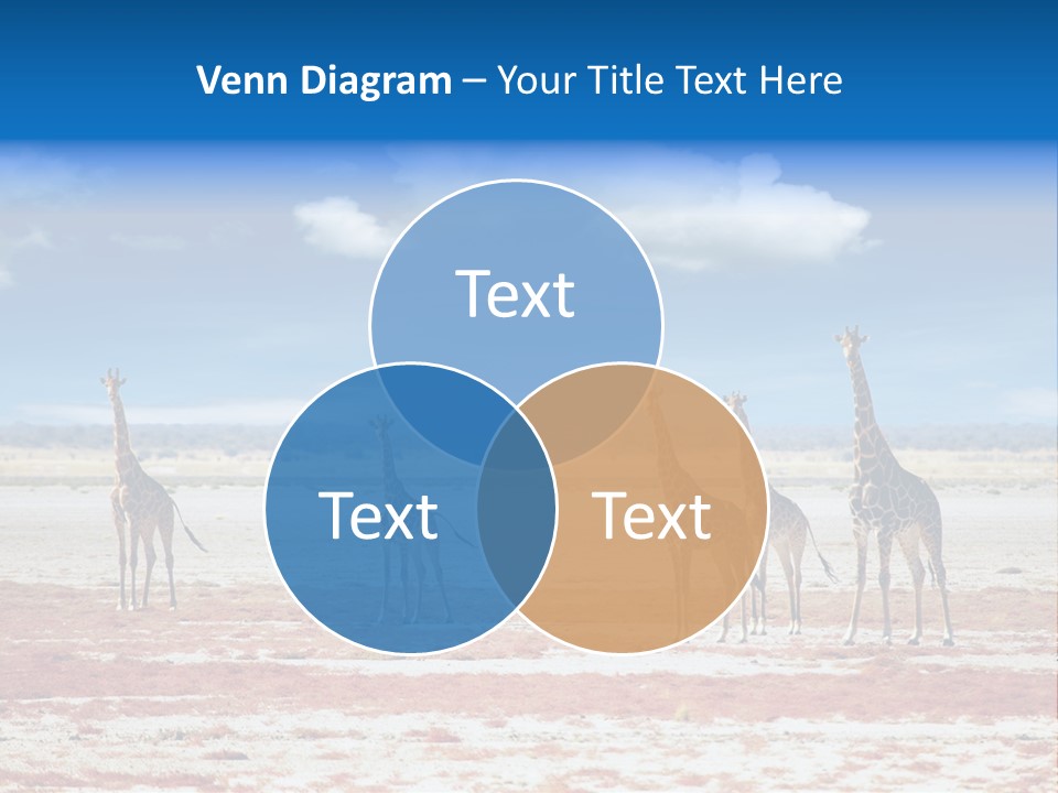 Park Clouds Herd PowerPoint Template