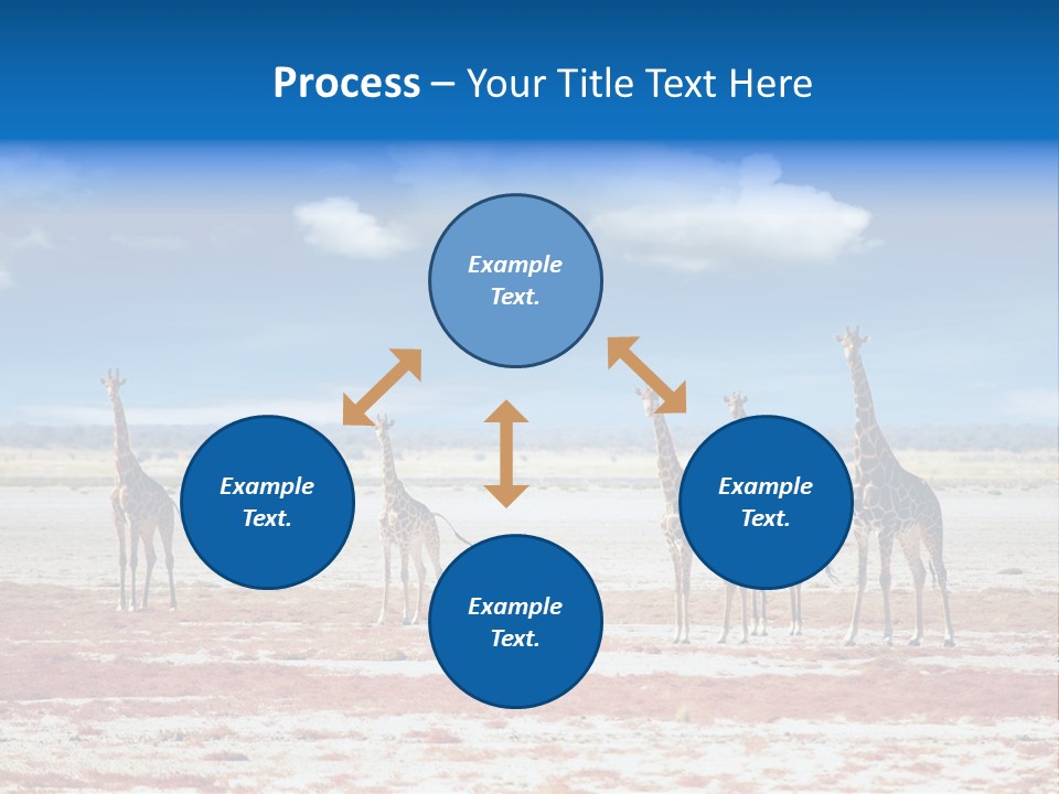 Park Clouds Herd PowerPoint Template