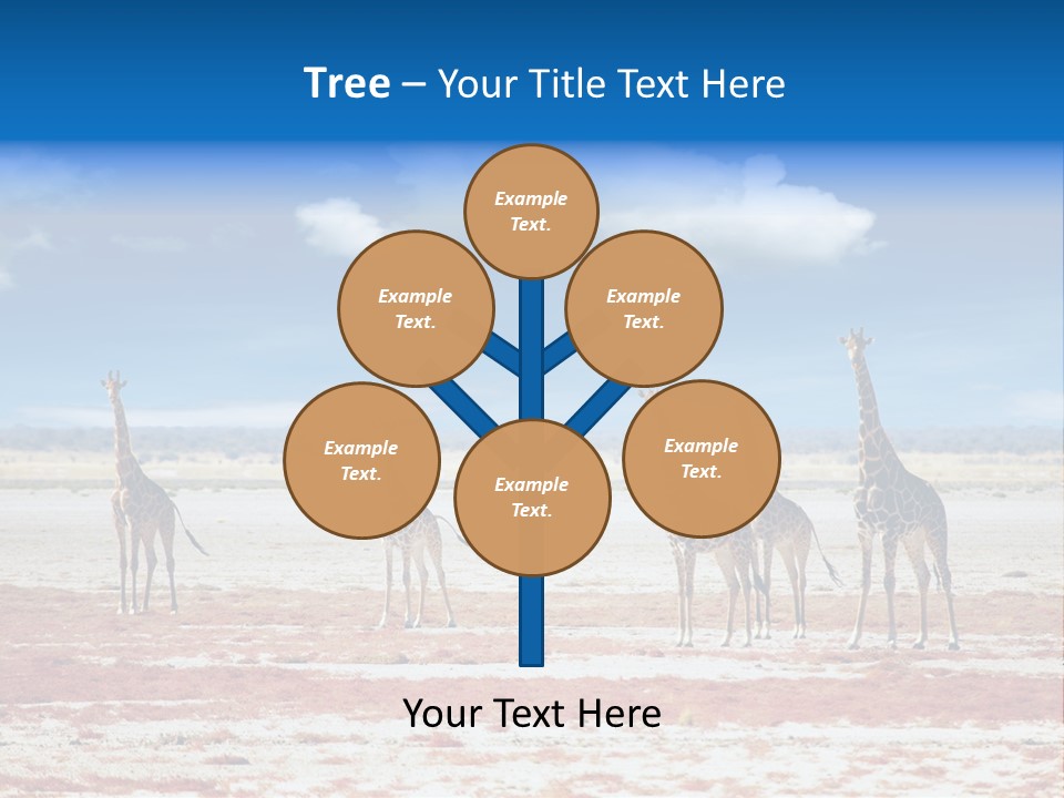 Park Clouds Herd PowerPoint Template