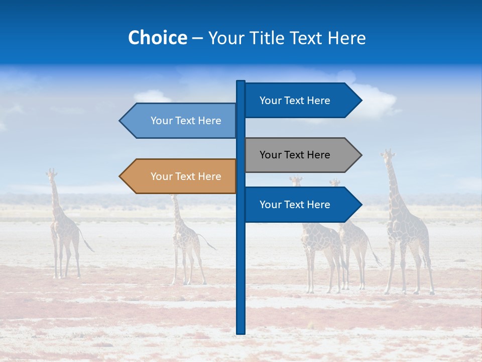 Park Clouds Herd PowerPoint Template