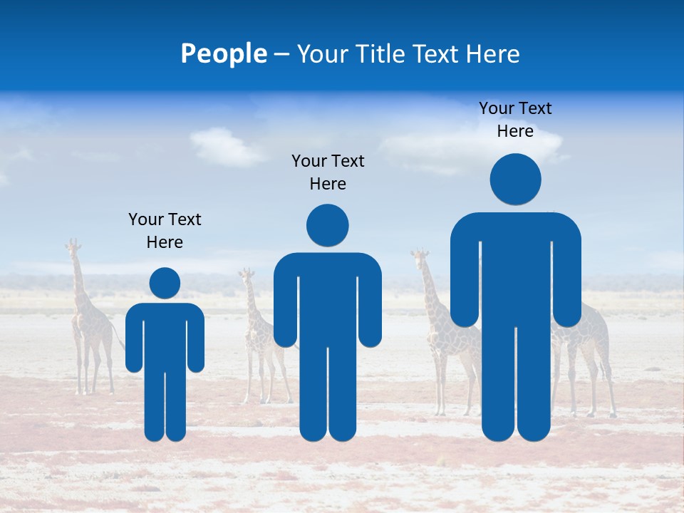 Park Clouds Herd PowerPoint Template