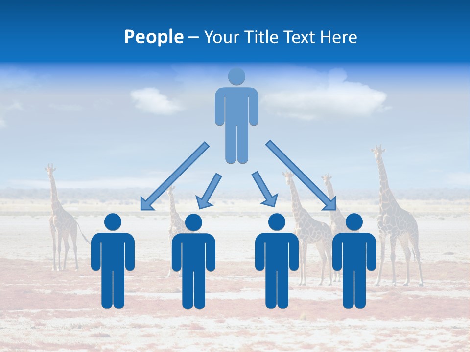 Park Clouds Herd PowerPoint Template