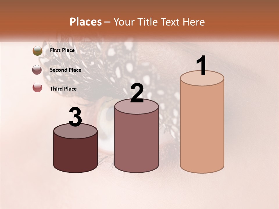 Shadow Glamour Look PowerPoint Template