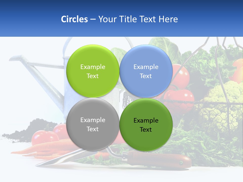 Organic Salad Market PowerPoint Template