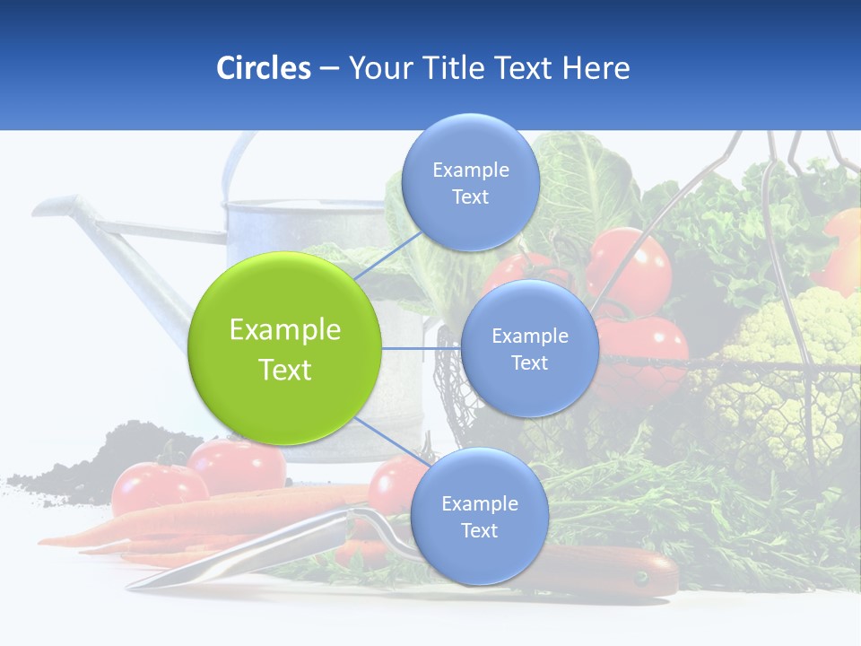 Organic Salad Market PowerPoint Template