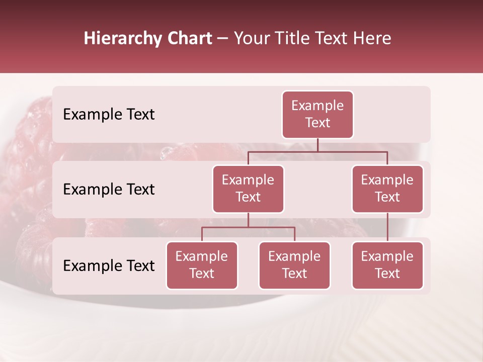 Closeup Fresh Raspberry PowerPoint Template