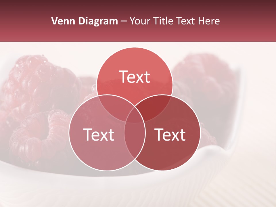 Closeup Fresh Raspberry PowerPoint Template