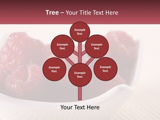 Closeup Fresh Raspberry PowerPoint Template