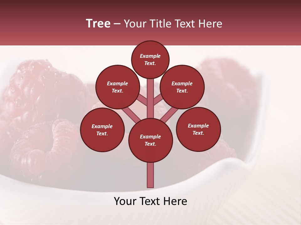 Closeup Fresh Raspberry PowerPoint Template