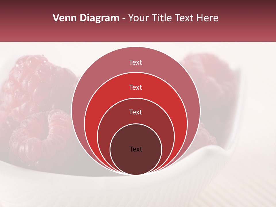 Closeup Fresh Raspberry PowerPoint Template