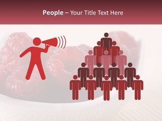 Closeup Fresh Raspberry PowerPoint Template