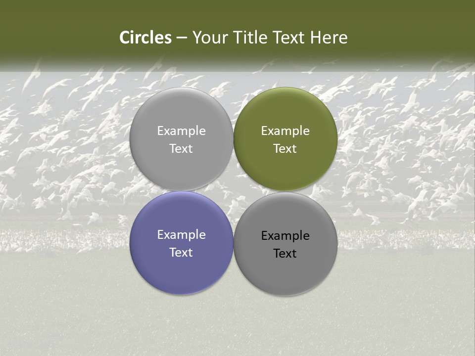 Grass Farm Artic PowerPoint Template