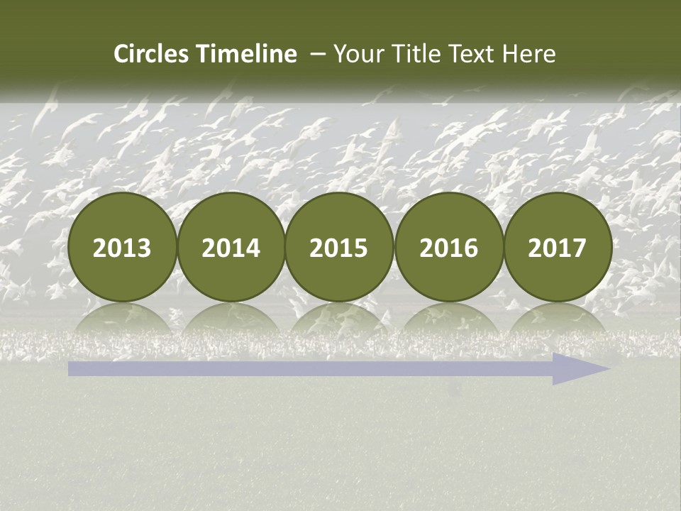 Grass Farm Artic PowerPoint Template