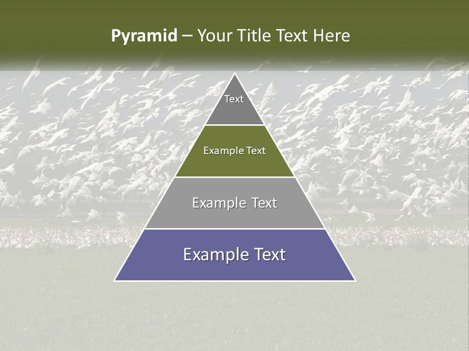 Grass Farm Artic PowerPoint Template