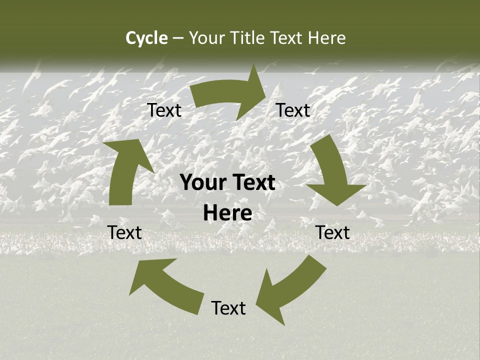 Grass Farm Artic PowerPoint Template