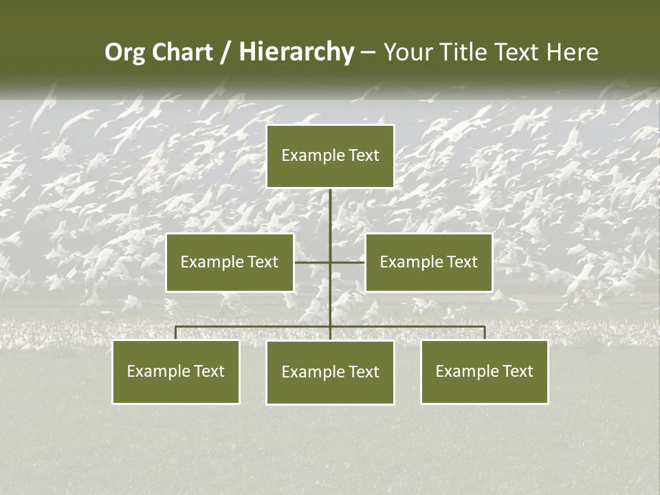Grass Farm Artic PowerPoint Template