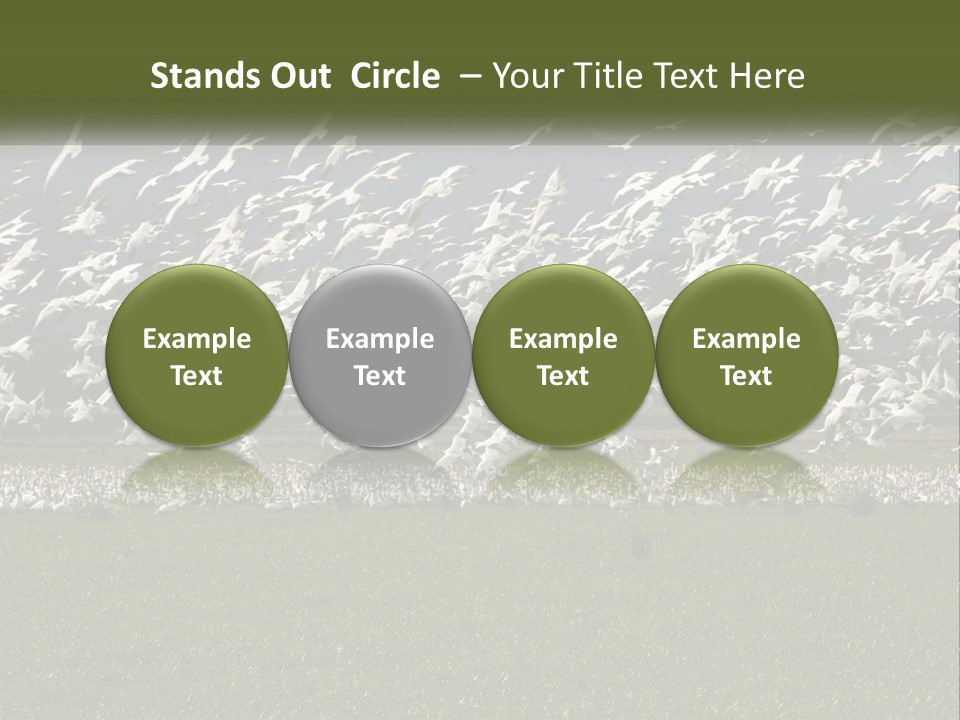 Grass Farm Artic PowerPoint Template